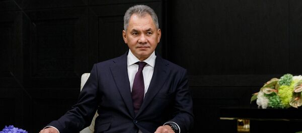 وزير الدفاع الروسي سيرغي شويغو، موسكو، روسيا وزير الدفاع الروسي سيرغي شويغو، موسكو، روسيا - سبوتنيك عربي