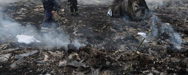 حادث تحطم طائرة بوينغ الماليزية في أوكرانيا - سبوتنيك عربي