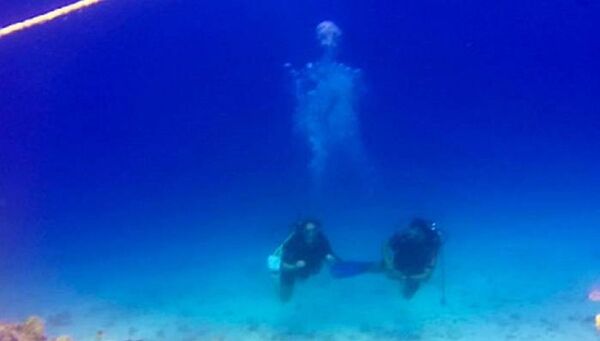 شبح في البحر الأحمر - سبوتنيك عربي