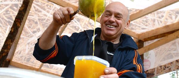  مهرجان حصاد المحالصيل في خاباروفسك، روسيا - سبوتنيك عربي