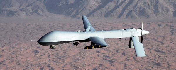 طائرة بريداتور بدون طيار - سبوتنيك عربي