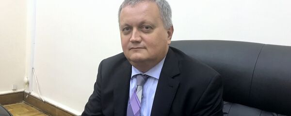 مدير قسم أميركا الشمالية في وزارة الخارجية الروسية غيورغي بوريسينكو - سبوتنيك عربي