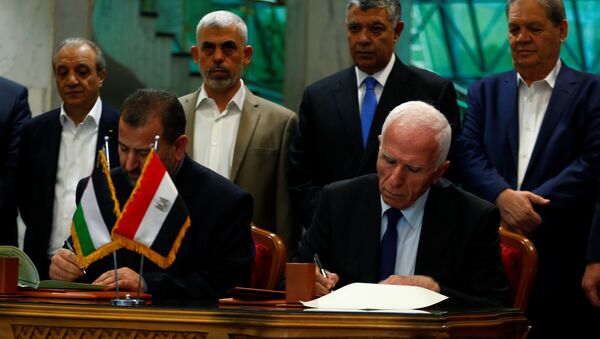 رئيس وفد حماس في القاهرة - سبوتنيك عربي