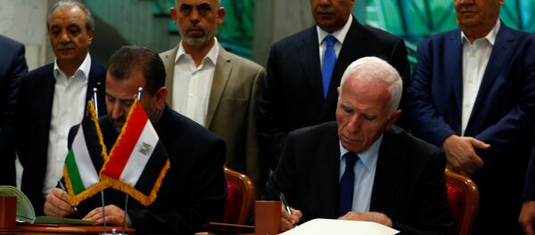 رئيس وفد حماس في القاهرة - سبوتنيك عربي