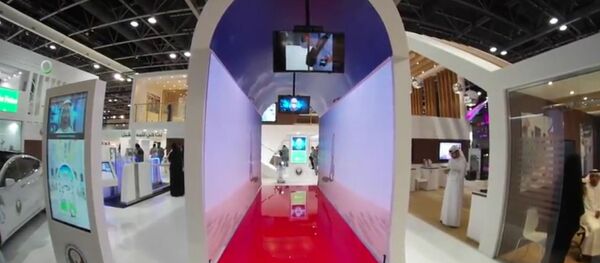 الممر الذكي في مطار دبي - سبوتنيك عربي