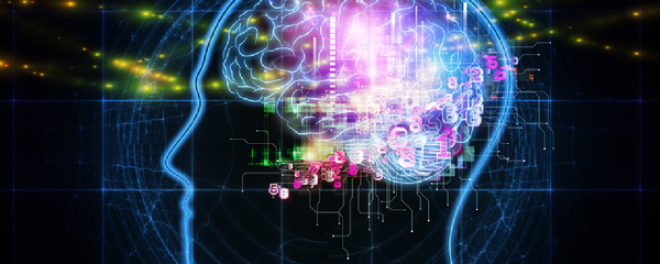 دماغ - مخ - سبوتنيك عربي