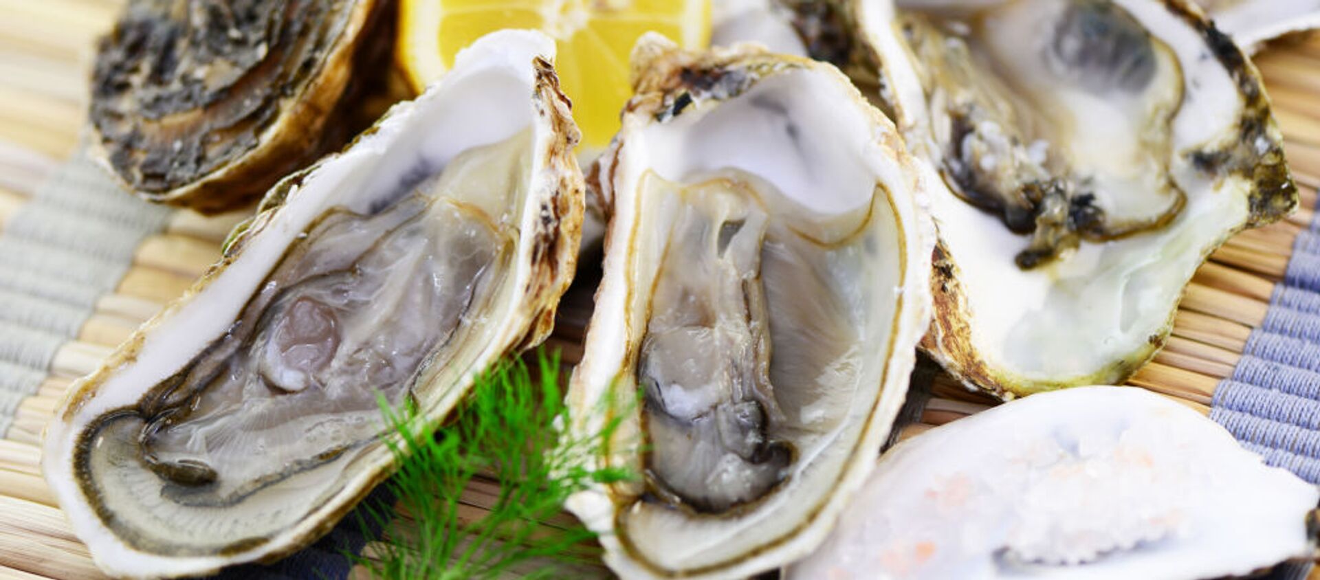 محار - سبوتنيك عربي, 1920, 19.04.2021