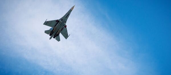 صقور روسيا - سو-27 - سبوتنيك عربي