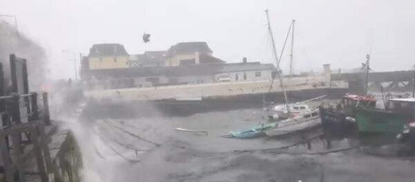 إعصار أوفيليا - سبوتنيك عربي