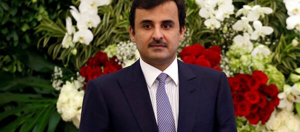 أمير قطر - سبوتنيك عربي