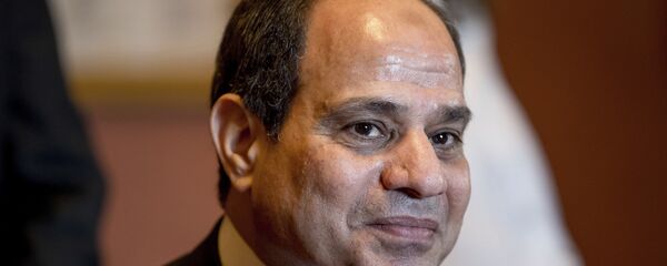 السيسي السيسي - سبوتنيك عربي