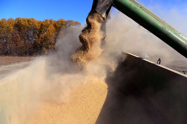 تحقيق أول انتصار في الحرب التجارية الصينية الامريكية - سبوتنيك عربي