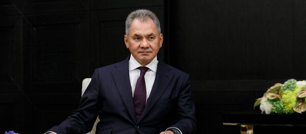 وزير الدفاع الروسي شويغو - سبوتنيك عربي