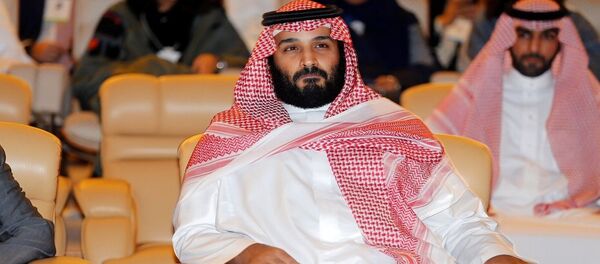 محمد بن سلمان - سبوتنيك عربي