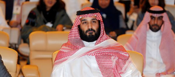 محمد بن سلمان - سبوتنيك عربي