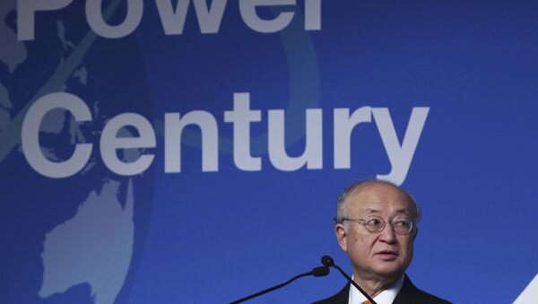 يوكيا أمانو رئيس الوكالة الدولية للطاقة الذرية - سبوتنيك عربي