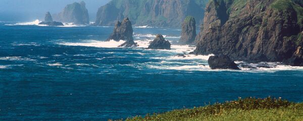 صخور على ساحل المحيط الهادىء  - سبوتنيك عربي