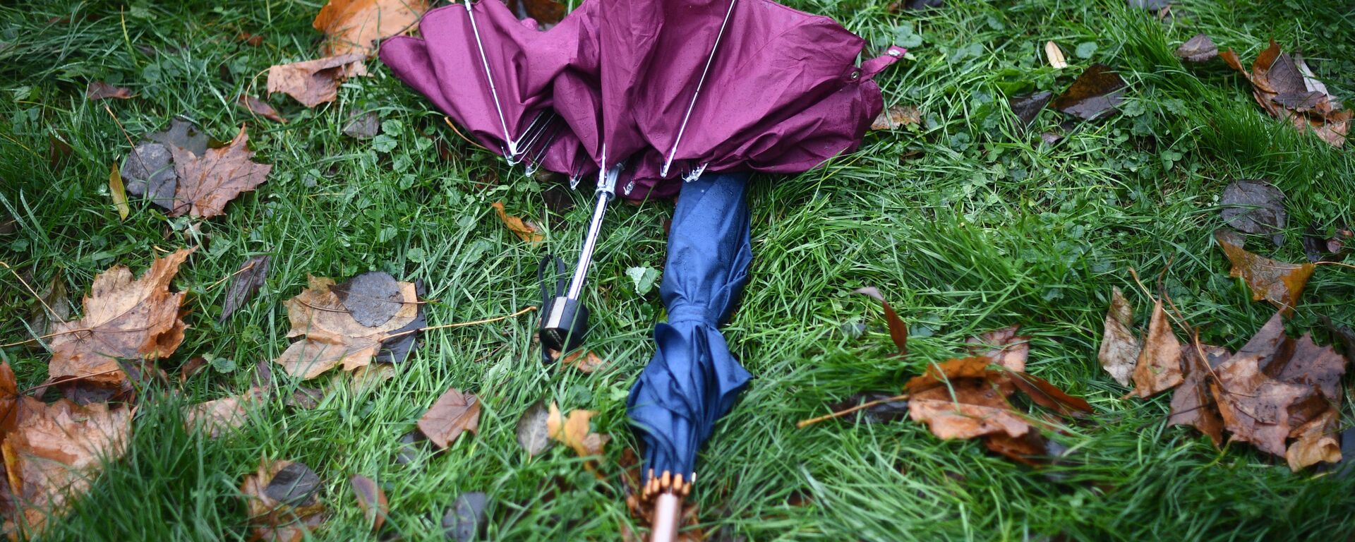 الجو في موسكو - أمطار - مطر - روسيا - سبوتنيك عربي, 1920, 09.08.2022