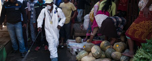 الطاعون في مدغشقر - سبوتنيك عربي