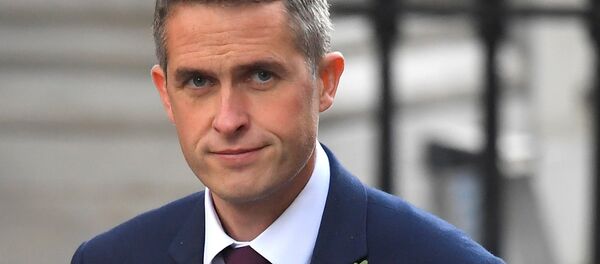 وزير الدفاع البريطاني ويليامسون - سبوتنيك عربي