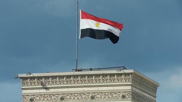 Egypti's national flag on a building in Cairo - سبوتنيك عربي