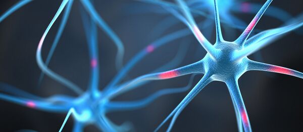 خلايا عصبية - سبوتنيك عربي