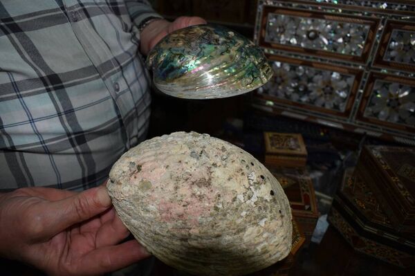 صناعة الصدف التراثية لم يطالها غبار الحرب في سورية صناعة الصدف التراثية لم يطالها غبار الحرب في سورية - سبوتنيك عربي