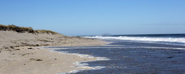 شاطئ - سبوتنيك عربي