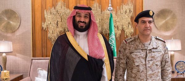 محمد بن سلمان - سبوتنيك عربي