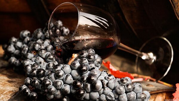 النبيذ الأحمر والعنب - سبوتنيك عربي