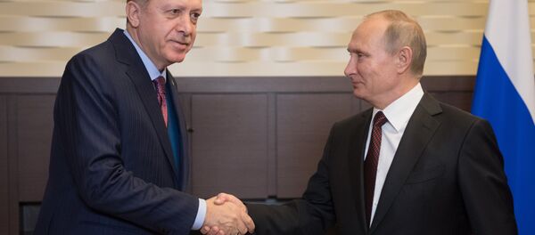 لقاء الرئيس الروسي فلاديمير بوتين مع نظيره التركي في سوتشي، 13 نوفمبر، 2017 - سبوتنيك عربي