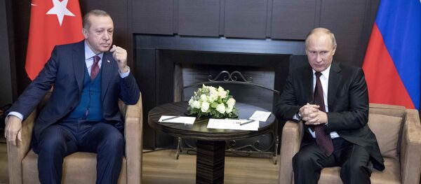 لقاء بوتين وأردوغان - سبوتنيك عربي