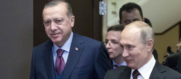 لقاء بوتين وأردوغان - سبوتنيك عربي