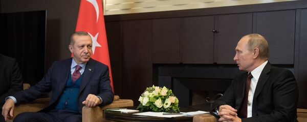 لقاء بوتين وأردوغان - سبوتنيك عربي