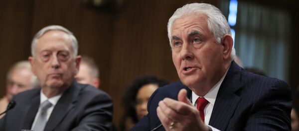 تيلرسون في واشنطن - سبوتنيك عربي