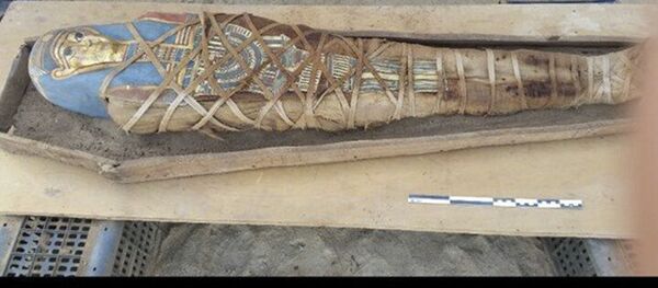 Мумия, найденная российскими учеными в Фаюме - سبوتنيك عربي