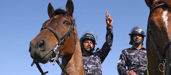 شرطة أبو ظبي - سبوتنيك عربي