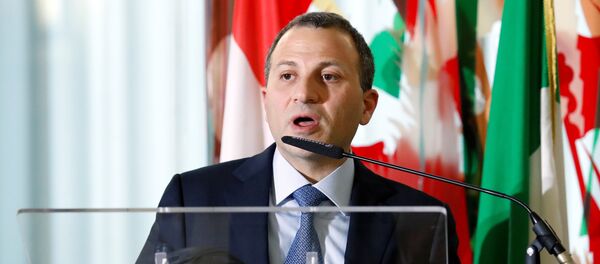 وزير الخارجية اللبناني جبران باسيل - سبوتنيك عربي