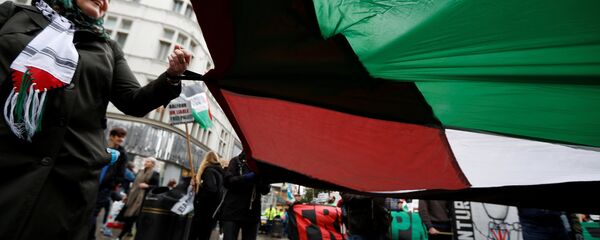 فلسطين - سبوتنيك عربي