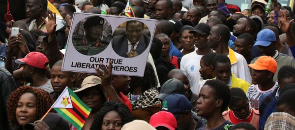 مظاهرات ضد موغابي - سبوتنيك عربي