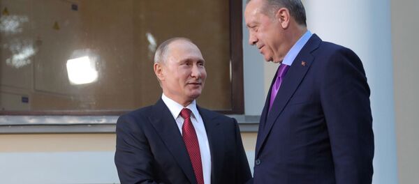 الرئيس فلاديمير بوتين والرئيس التركي رجب طيب أردوغان في سوتشي، 22 نوفمبر/ تشرين الثاني 2017 - سبوتنيك عربي