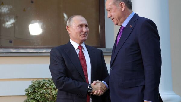 الرئيس فلاديمير بوتين والرئيس التركي رجب طيب أردوغان في سوتشي، 22 نوفمبر/ تشرين الثاني 2017 - سبوتنيك عربي