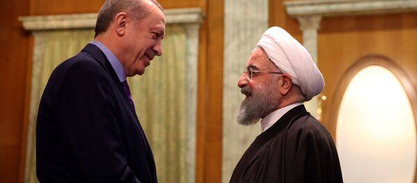 الرئيس الإيراني حسن روحاني والرئيس التركي رجب طيب أردوغان في سوتشي، 22 نوفمبر/ تشرين الثاني 2017 - سبوتنيك عربي