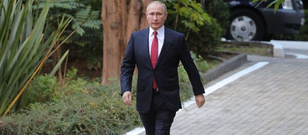 الرئيس فلاديمير بوتين قبل لقاء الرئيس التركي رجب طيب أردوغان والرئيس الإيراني حسن روحاني في سوتشي، 22 نوفمبر/ تشرين الثاني 2017 - سبوتنيك عربي