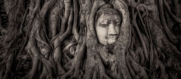 مسابقة التصوير التاريخي لهذا العام (Historic Photographer of the Year) - صورة بعنوان وات ماهاذات، تايلندا، للمصور ماثيو براوني مسابقة التصوير التاريخي لهذا العام (Historic Photographer of the Year) - صورة بعنوان وات ماهاذات، تايلندا، للمصور ماثيو براوني - سبوتنيك عربي