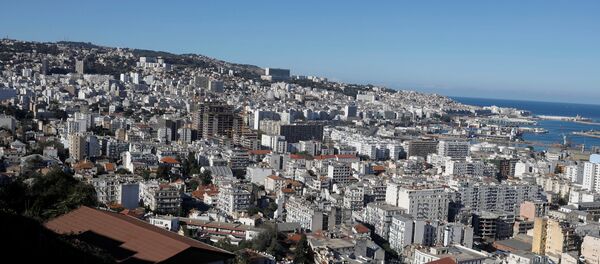 الجزائر - سبوتنيك عربي