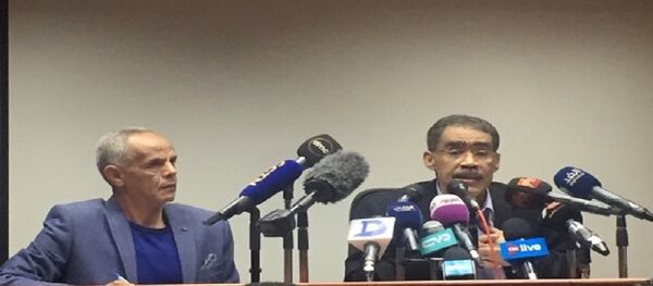 رئيس الهيئة العامة للاستعلامات الدكتور ضياء رشوان - سبوتنيك عربي