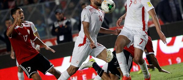 تونس - سبوتنيك عربي