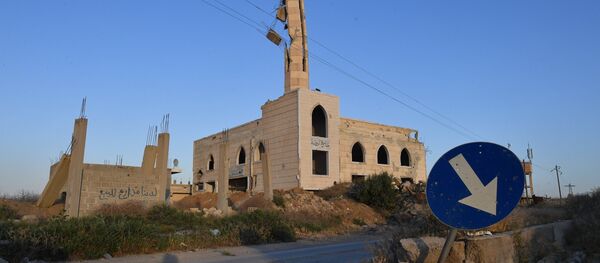 غوطة (أرشيف) - سبوتنيك عربي