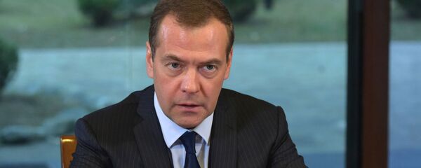 رئيس الوزراء الروسي دميتري ميدفيديف - سبوتنيك عربي